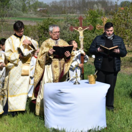 Hivatások napja és búzaszentelés Nyíracsádon 